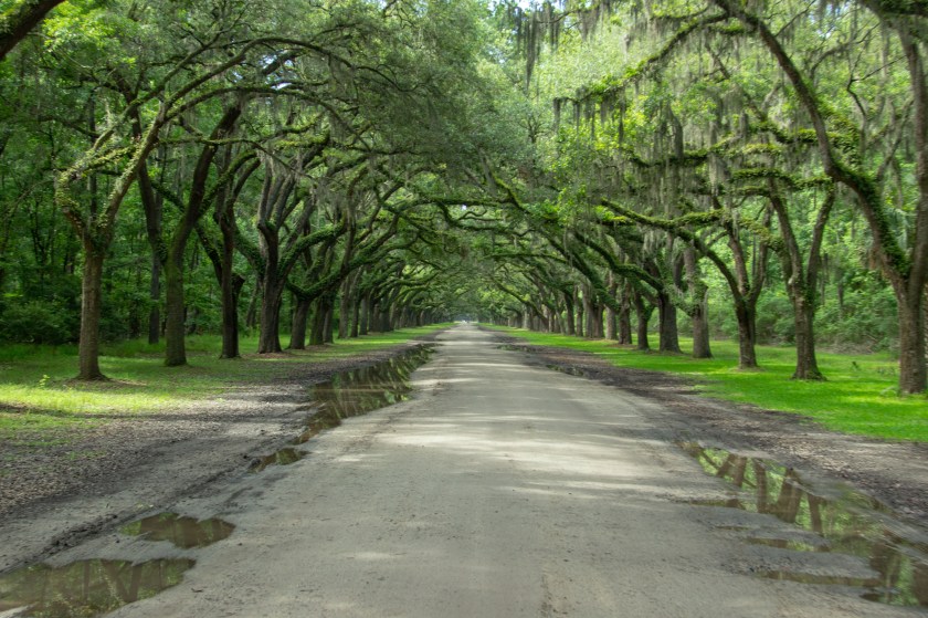 Colton Mundt Colton James Mundt Colton J Mundt