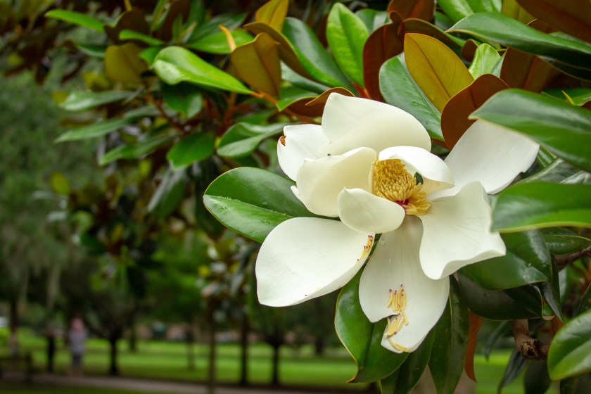 Colton Mundt Colton James Mundt Colton J Mundt